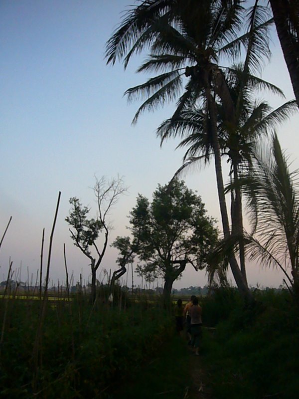 Travel - Myanmar - Inle Lake - First Boat Trip - The boat-drivers village - Rice and Cigars